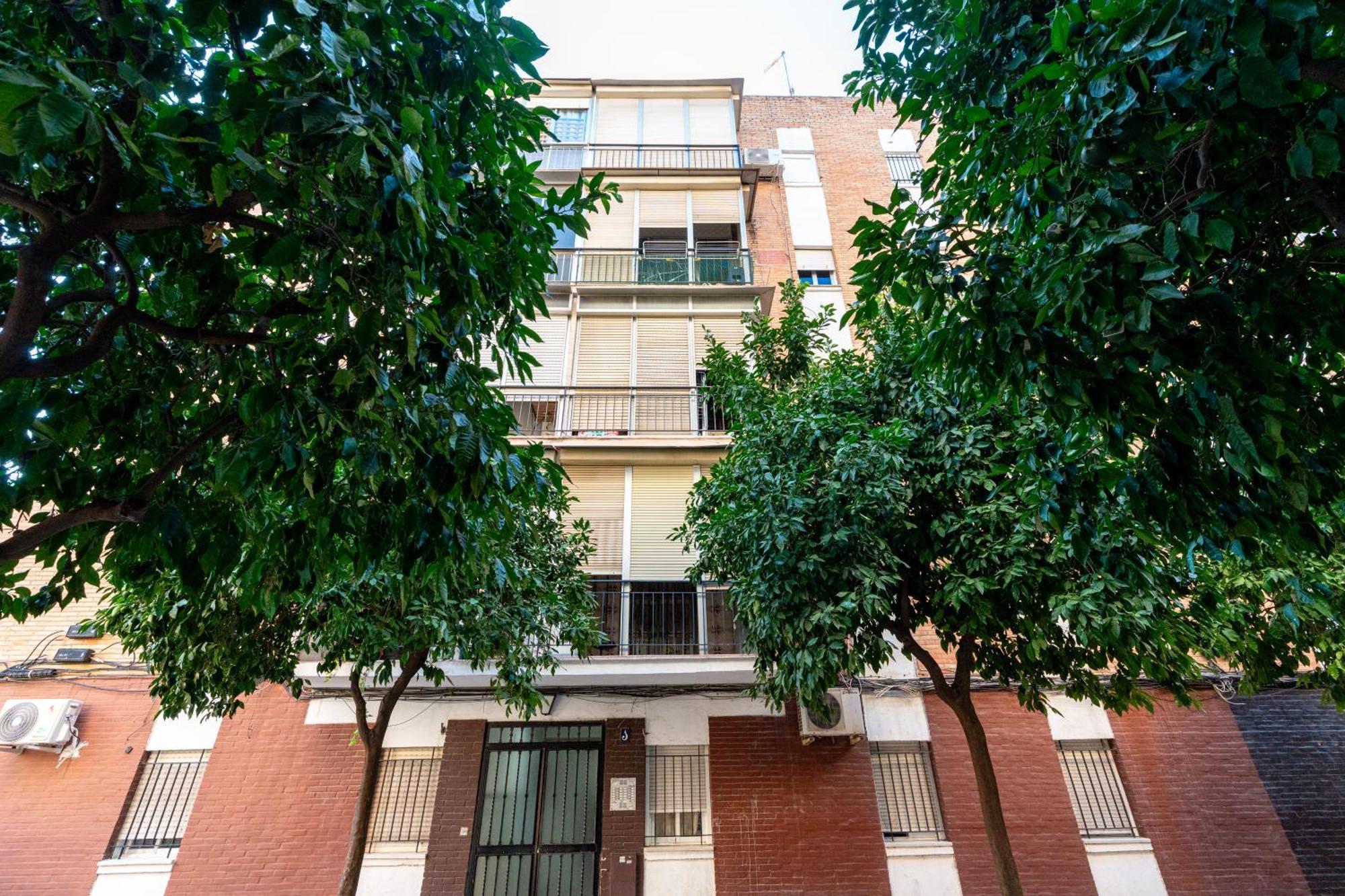 Piso Elegante Y Nuevo De 3 Habitaciones Y 2 Banos Sevilla Eksteriør bilde
