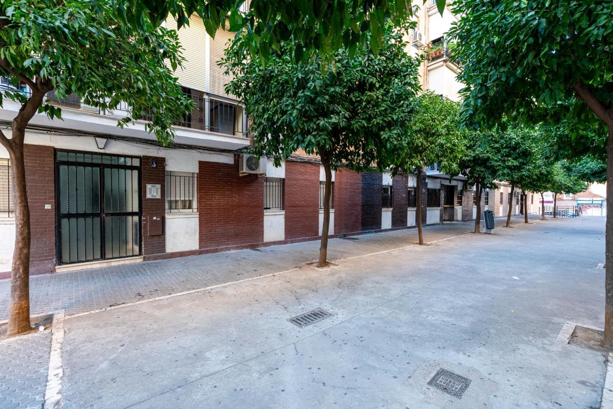 Piso Elegante Y Nuevo De 3 Habitaciones Y 2 Banos Sevilla Eksteriør bilde